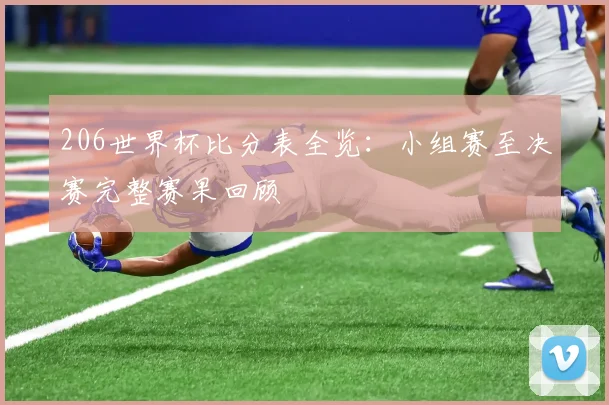 206世界杯比分表全览：小组赛至决赛完整赛果回顾