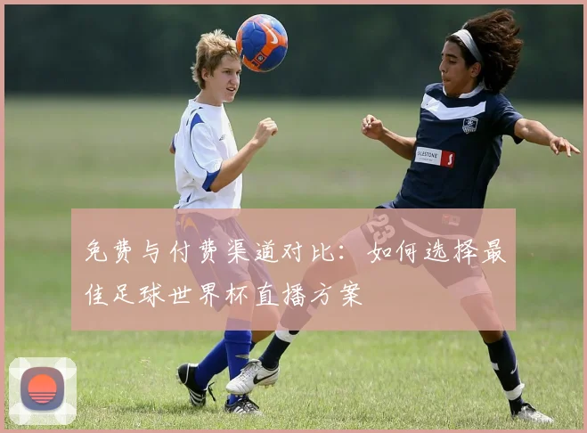 免费与付费渠道对比：如何选择最佳足球世界杯直播方案