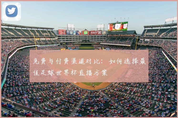 免费与付费渠道对比：如何选择最佳足球世界杯直播方案