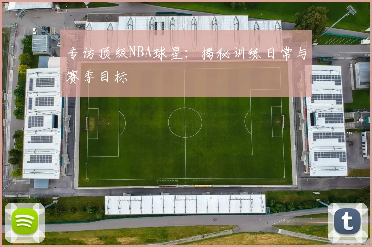 专访顶级NBA球星：揭秘训练日常与赛季目标