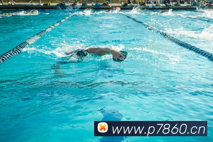 多媒体互动体验